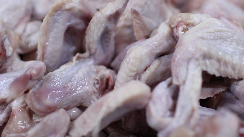 Pulpe de pui cu SALMONELLA, retrase 