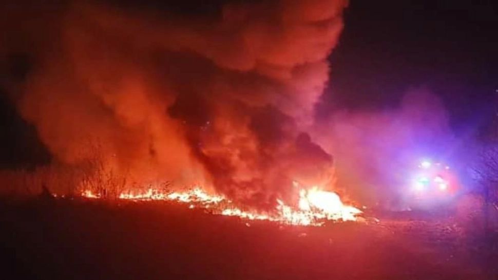 Incendiu la Sintesti (FB/Garda de Mediu)