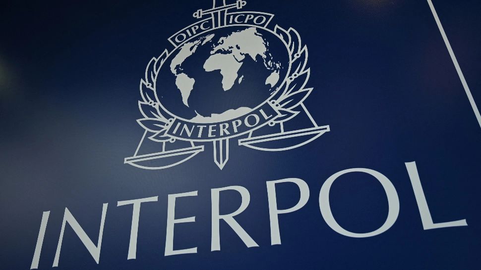 Operațiune de amploare a celor de la Interpol. Foto/ProfiMedia