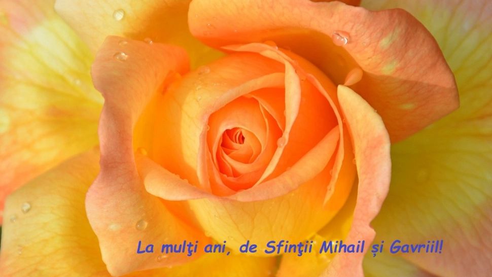 Sfinții Mihail și Gavriil 