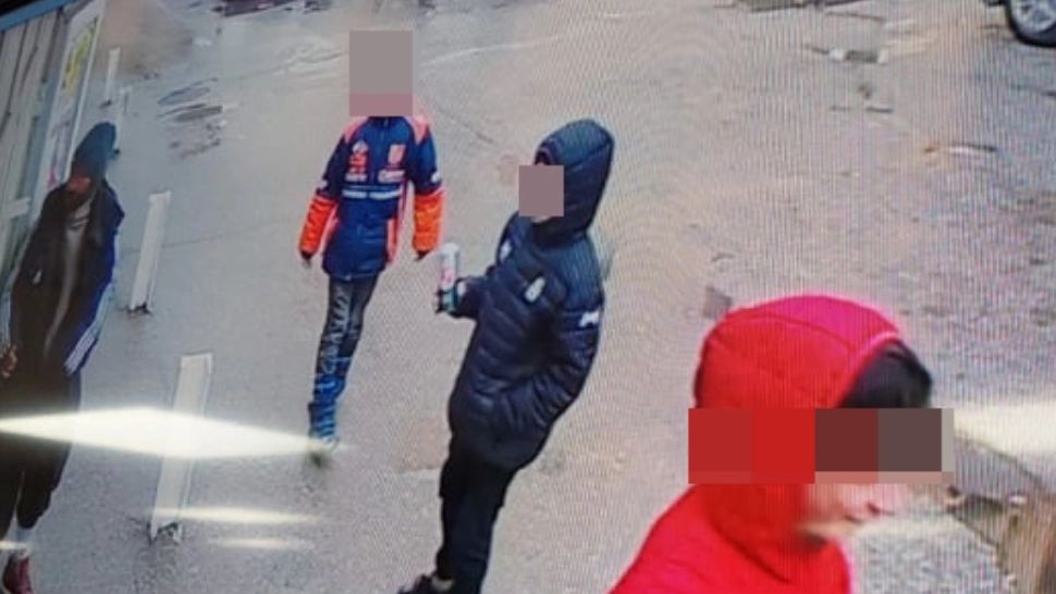 Copii bătăuși FOTO: Captura video