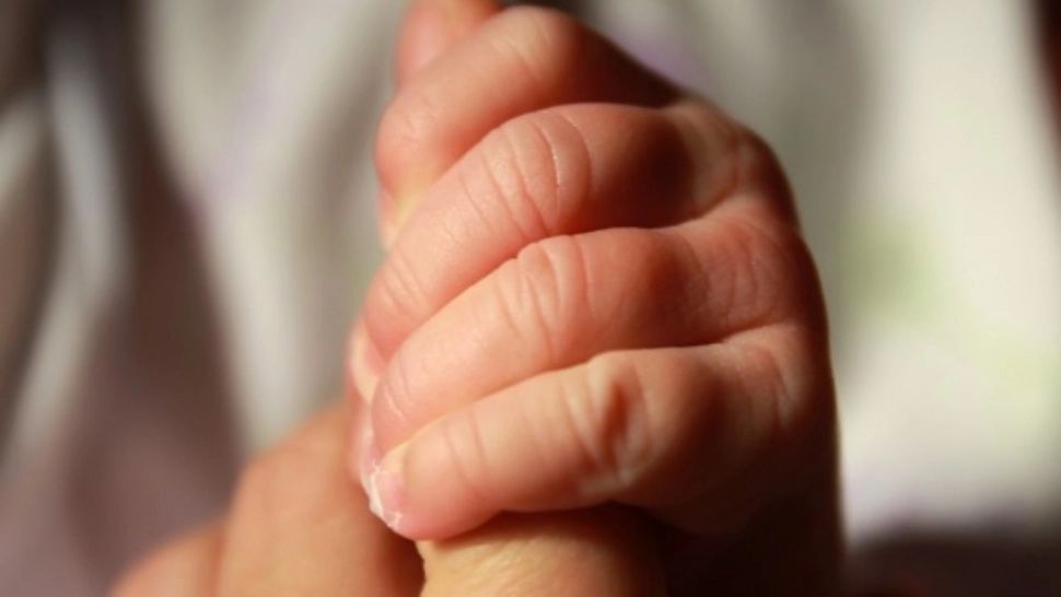 Tragedie în Dâmbovița! Un copil de 5 ani a fost UCIS de câinele familiei