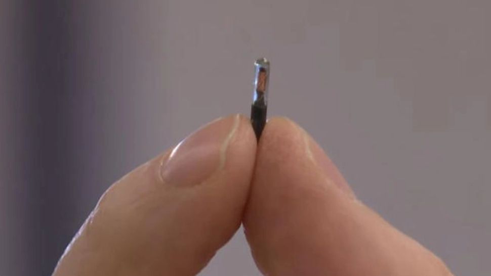 Microcipul dezvoltat de Dsruptive Subdermals FOTO: Captura video
