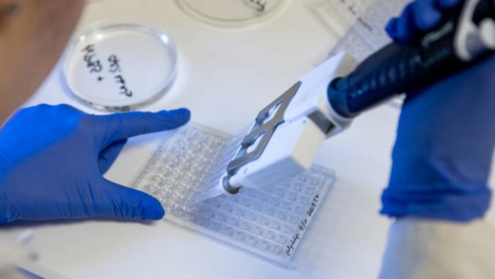 Secvențiere FOTO: arhiva