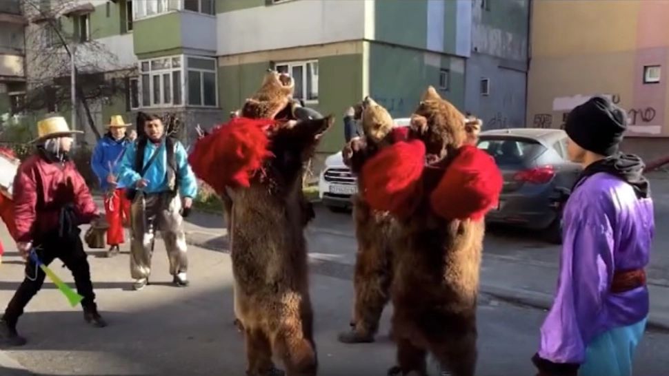 Sursa foto: Captură video