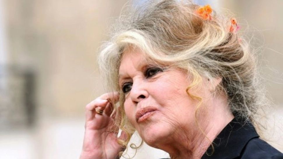 Bridgitte Bardot FOTO: Profimedia images
