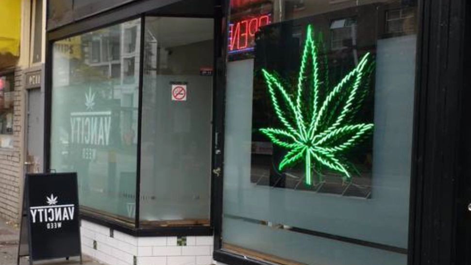 Magazin Cannabis Quebec FOTO: Profimedia