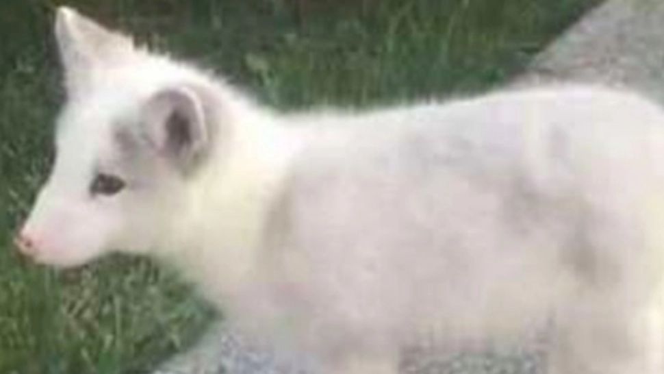 A înghețat de spaimă când a aflat ce crescuse, de fapt, în casă