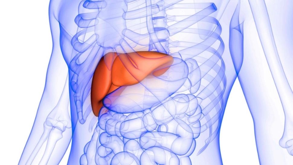 Acest aliment îţi distruge ficatul şi pancreasul