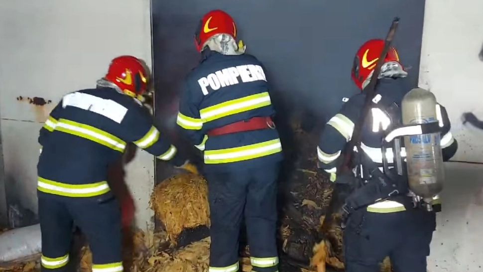 Două magazii din Vama Giurgiu au luat foc. Foto/Captură video