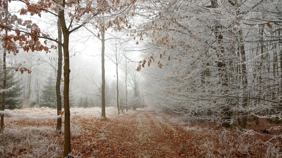 Vremea 13 ianuarie - Informare meteo de ger și vânt
