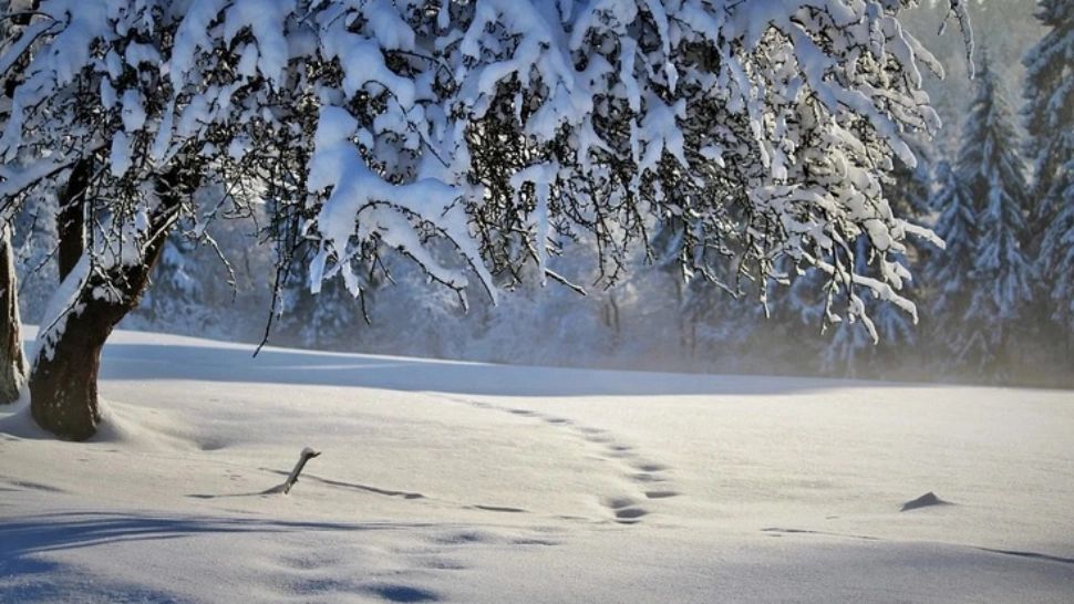 Un tânăr a murit după ce s-a dat pe zăpadă cu un colac tras de mașină