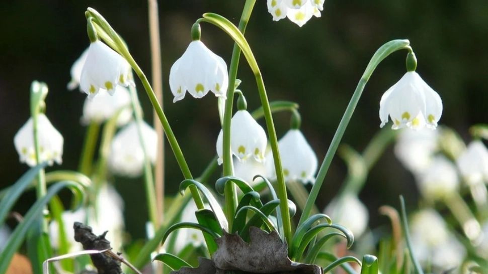 Prognoza meteo 14 februarie