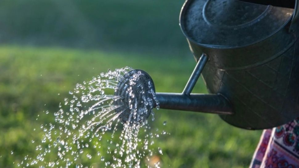 Fermierii din Teleorman se plâng că birocrația le distruge irigațiile