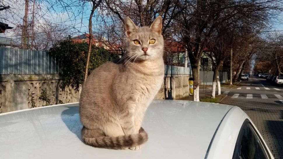 Vreme de primăvară în ianuarie