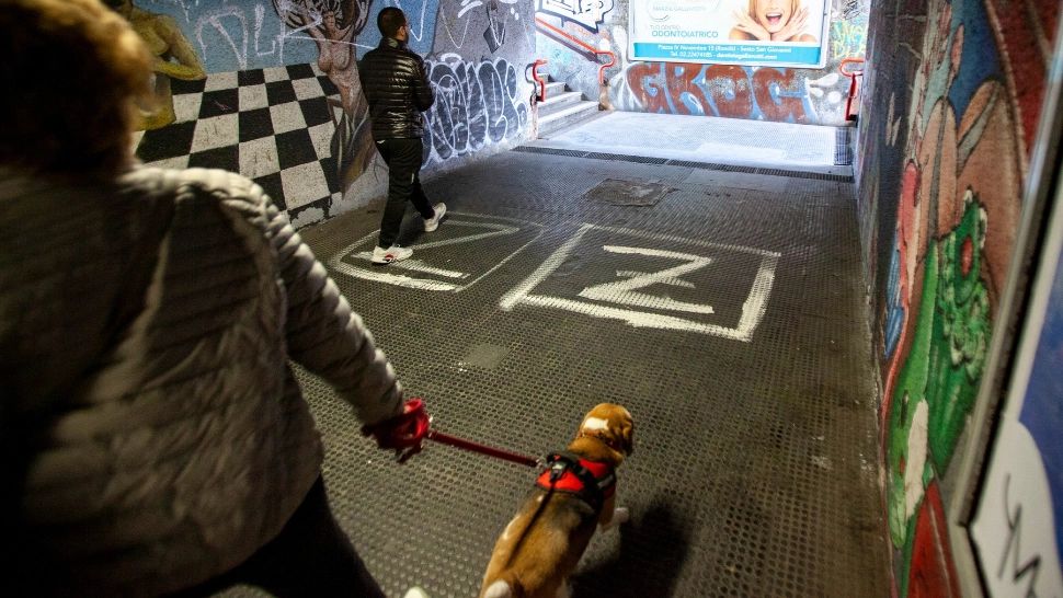 Litera Z a devenit o modă printre fanii Rusiei. Foto/Profimedia