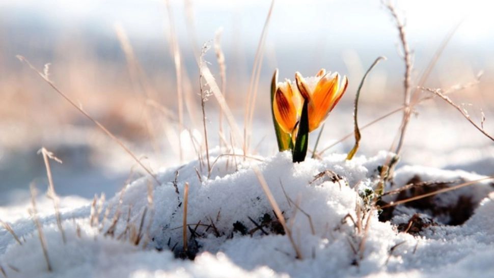 Prognoza meteo 11 martie. Temperaturile rămân scăzute în toată țara. Maximele nu vor trece astăzi de 15 de grade