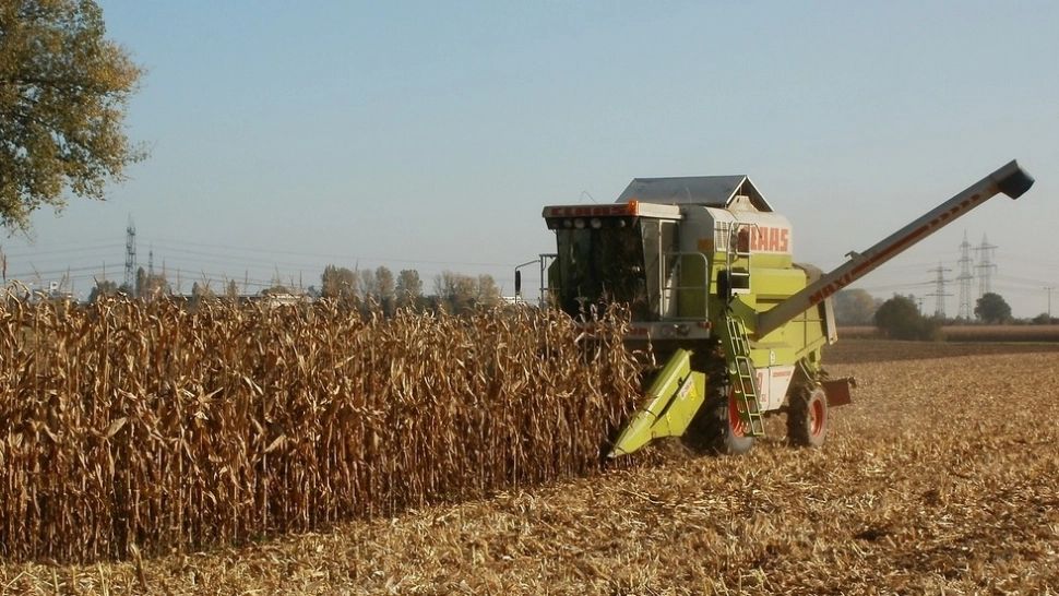 CCIR nu susține cuantumul amenzilor introduse în proiectul de OUG privind unele măsuri în sectorul agricol și al industriei alimentare