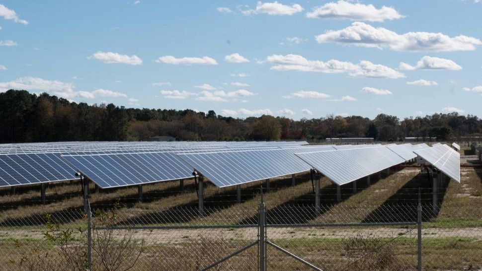 Panourile solare pot reprezenta salvarea fermierilor români. Foto/Profimedia