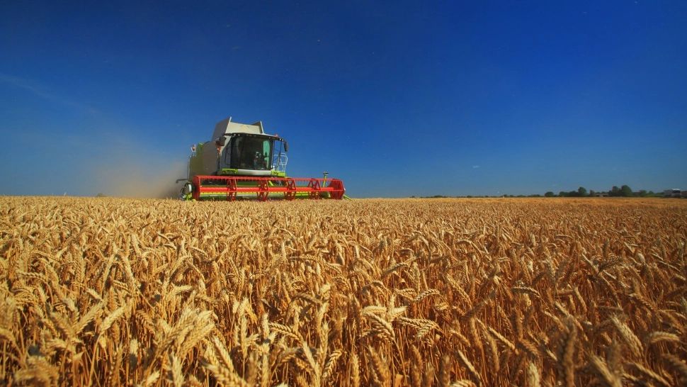 România stă bine cu producția și stocurile de cereale. Foto/Profimedia