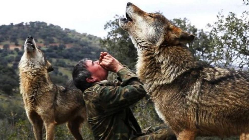 Bărbat crescut de lupi, întors în civilizație. MESAJ tulburător pentru oameni. De necrezut ce au fost în stare să-i facă! - FOTO