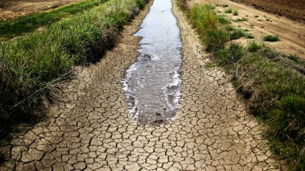 Secetă extremă în România. Pericolul averselor torențiale 