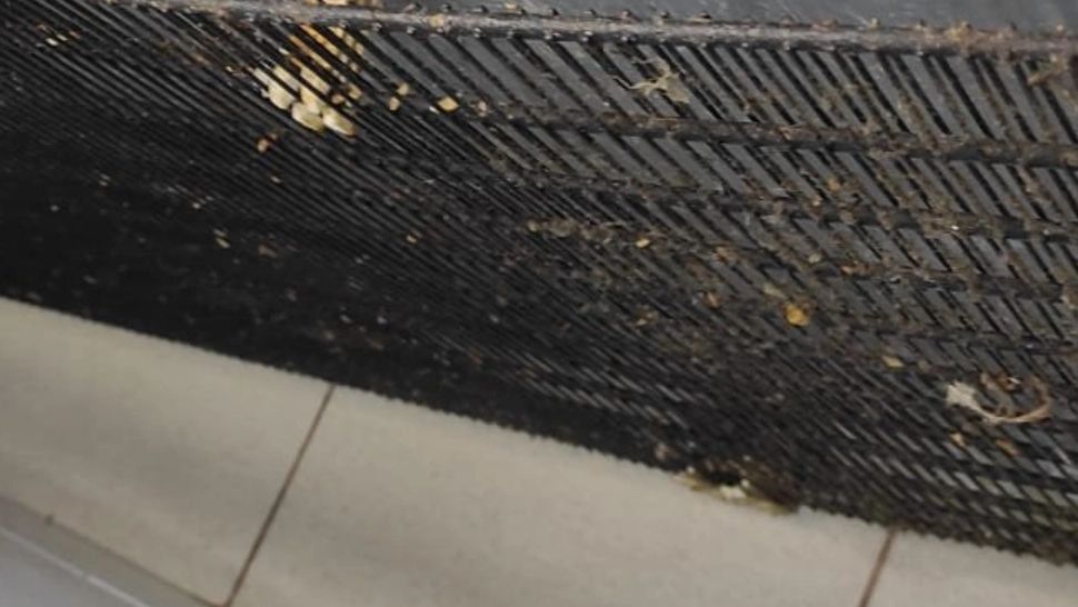 ANPC, controale la sânge în București: 4 mari hoteluri amendate cu 95.000 de lei - Ce au găsit inspectorii - VIDEO