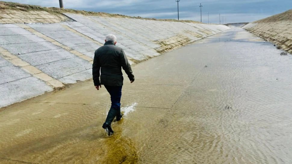 Ministrul Agriculturii, Petre Daea (foto: FB)