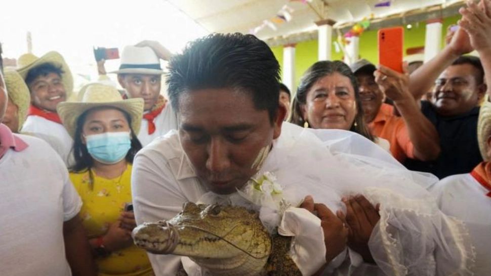 Un primar s-a însurat cu un crocodil. MOTIVUL halucinant - VIDEO