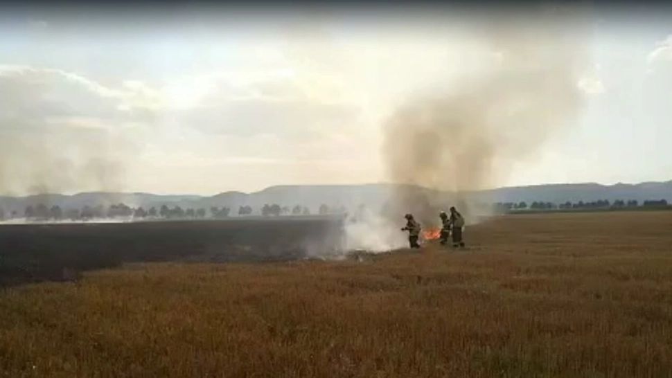 Incendiu de vegetație, în Prahova