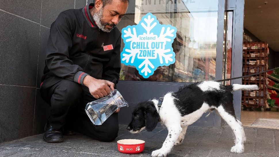 Stare de urgență națională în Anglia, a fost emis COD ROȘU de CANICULĂ. Pot muri chiar și oameni sănătoși