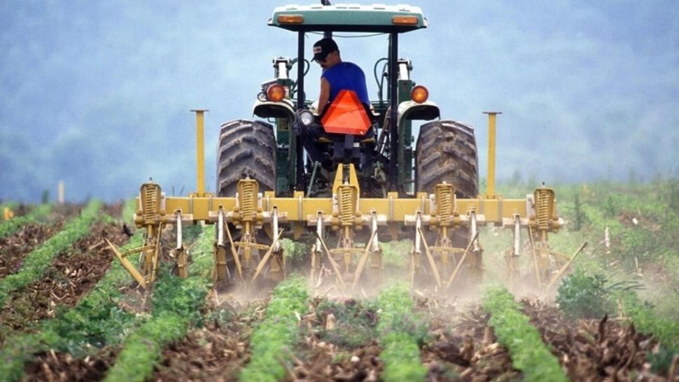 Șofer decapitat, după impactul cu un tractor condus de un tânăr de 16 ani