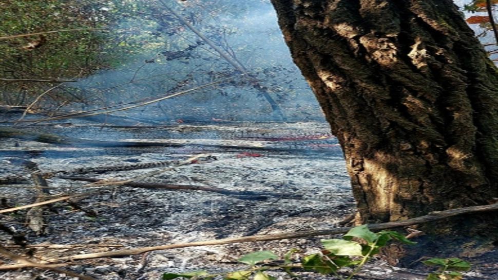 Incendiu violent, la Giurgiu!