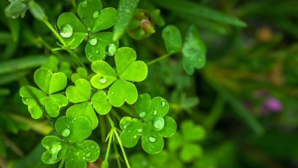 Horoscop 3 octombrie