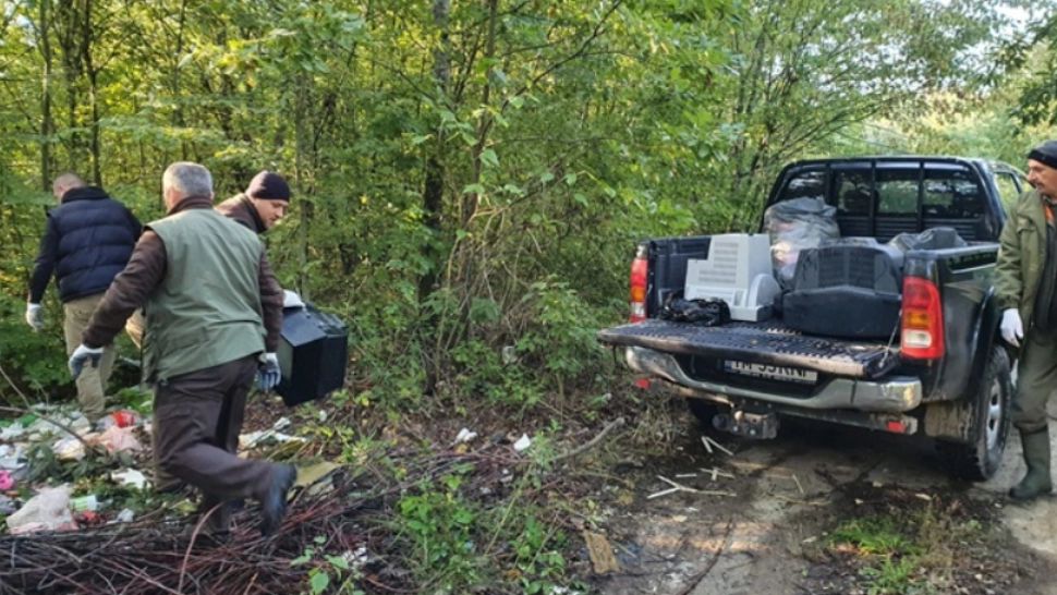 Gunoi / Captură foto Opinia Timișoarei