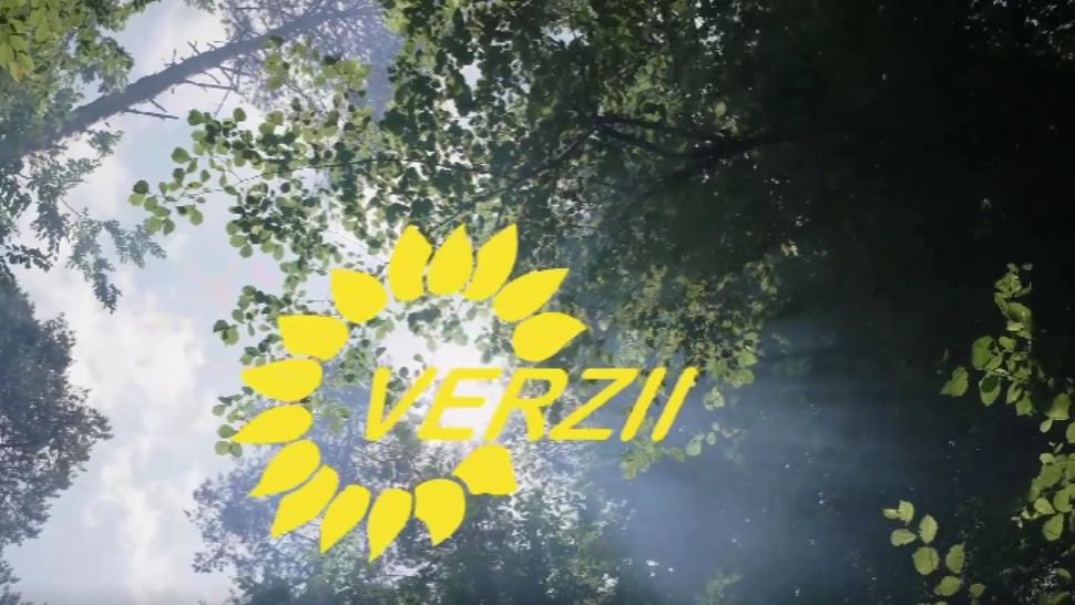 Partidul Verde/ Captură video