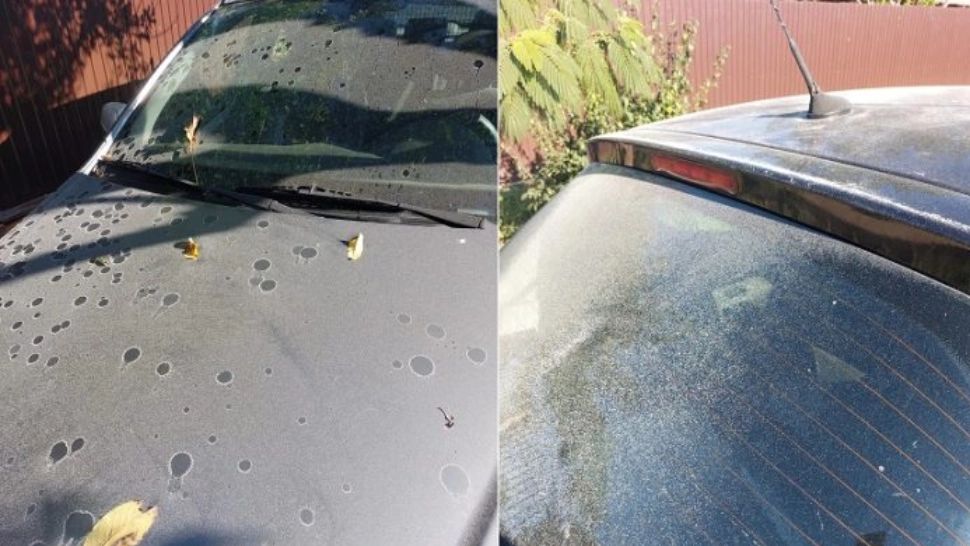 Poluare masivă, într-o comună din Prahova. Praf alb bizar în atmosferă - aerul, greu de respirat