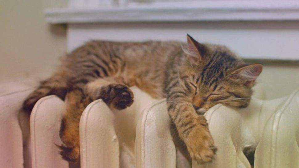 Calorifer - imagine de arhivă