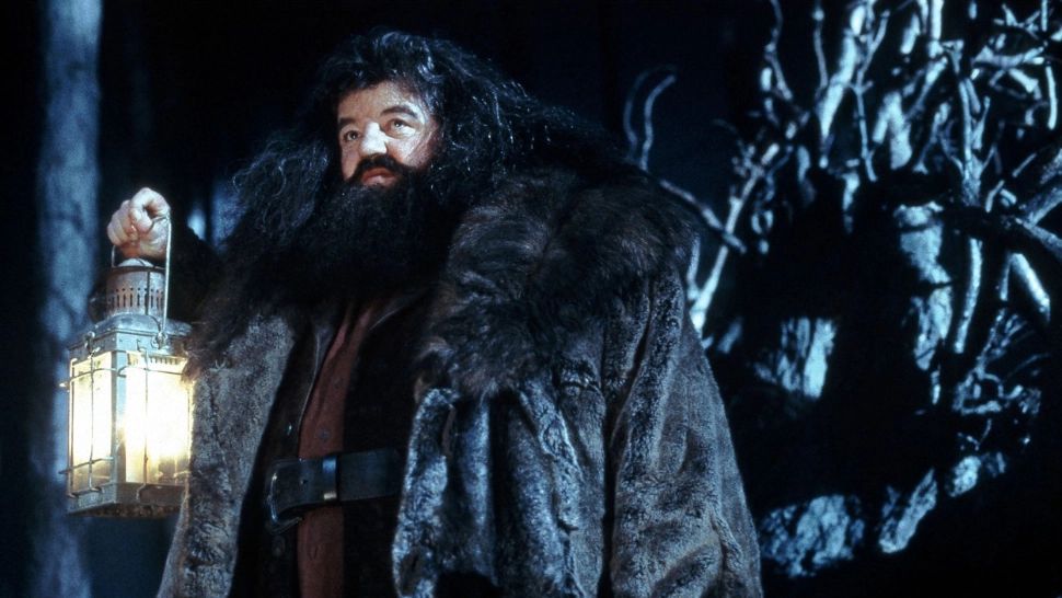 Doliu uriaș în lumea filmului. A murit un actor legendar din seria Harry Potter