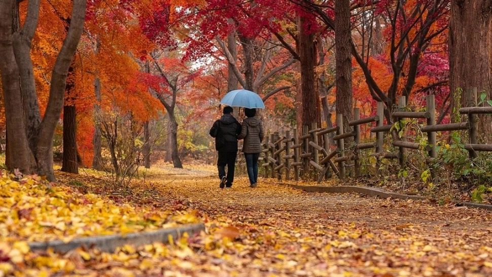 Vreme de primăvară, după temperaturi la limita înghețului - prognoza meteo pe o lună