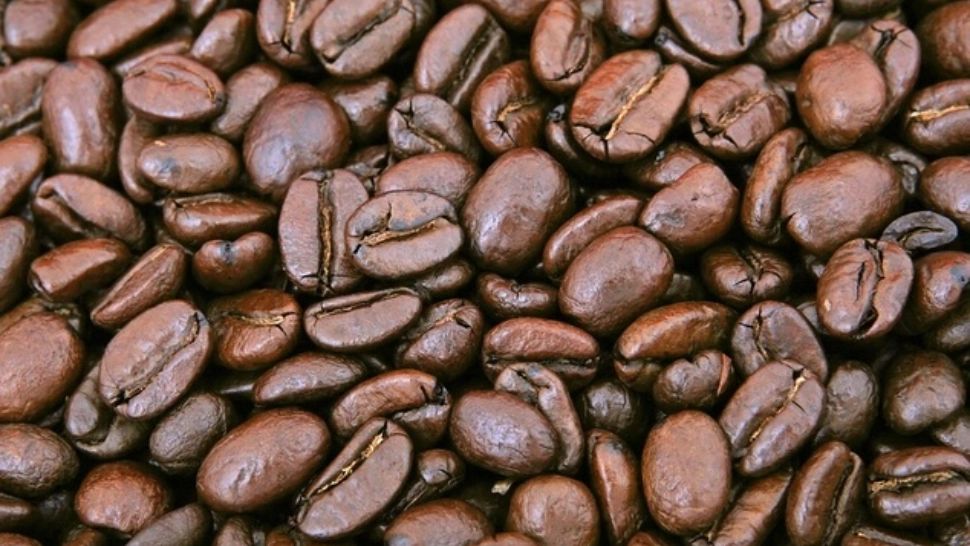 Cafea