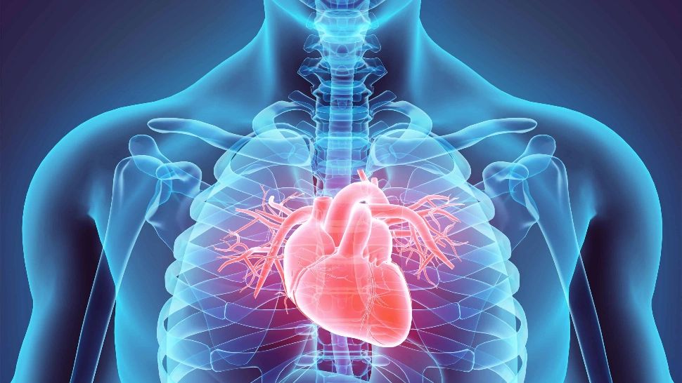 Coronarografia - scopul procedurii, stabilirea diagnosticului de boală coronariană ischemică