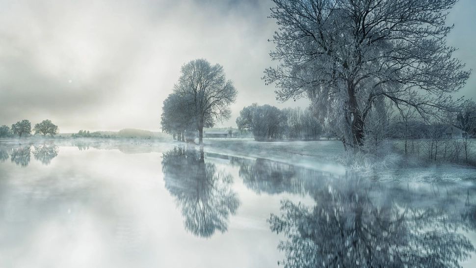 Sursa foto: Pixabay