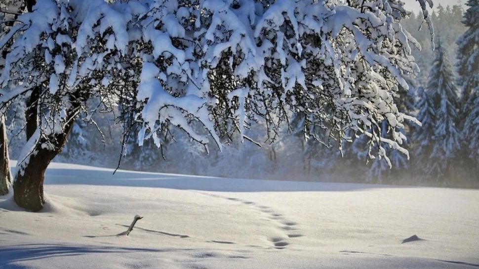 Schimbare bruscă a vremii - temperaturi la limita înghețului. Încep NINSORILE - ANM, prognoza completă