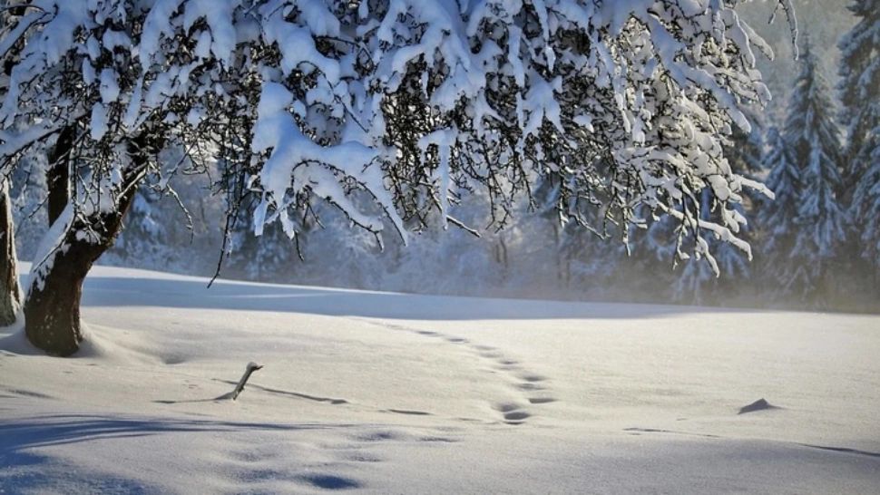 Prognoza meteo pe două săptămâni. Zonele lovite de ninsori. Cum va fi vremea de 1 Decembrie