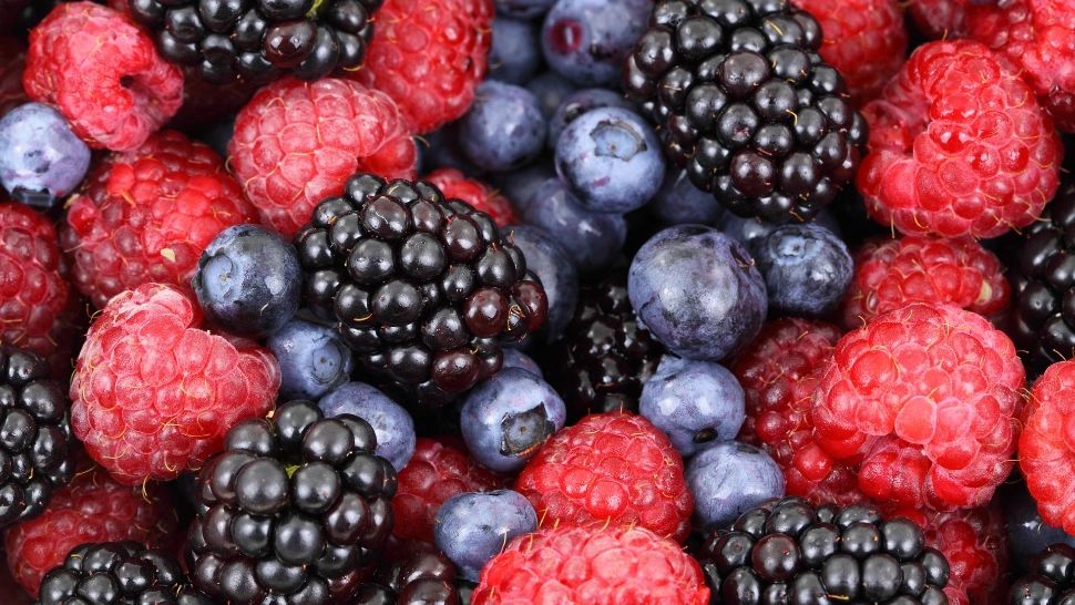 Fructe de padure