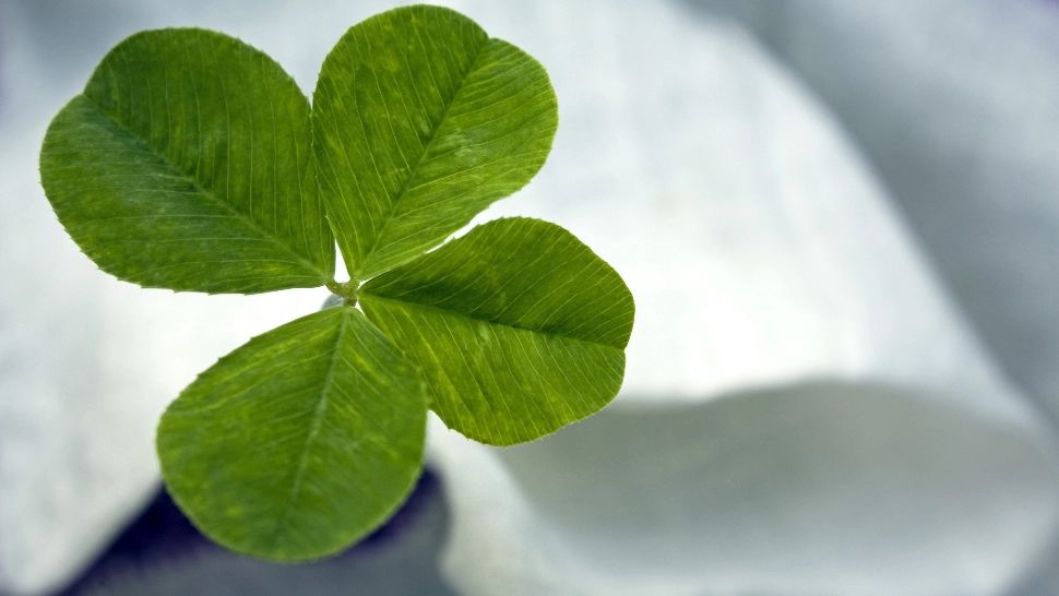 Horoscop 22 decembrie. Cea mai productivă zi din an pentru două zodii - au tot Universul de partea lor