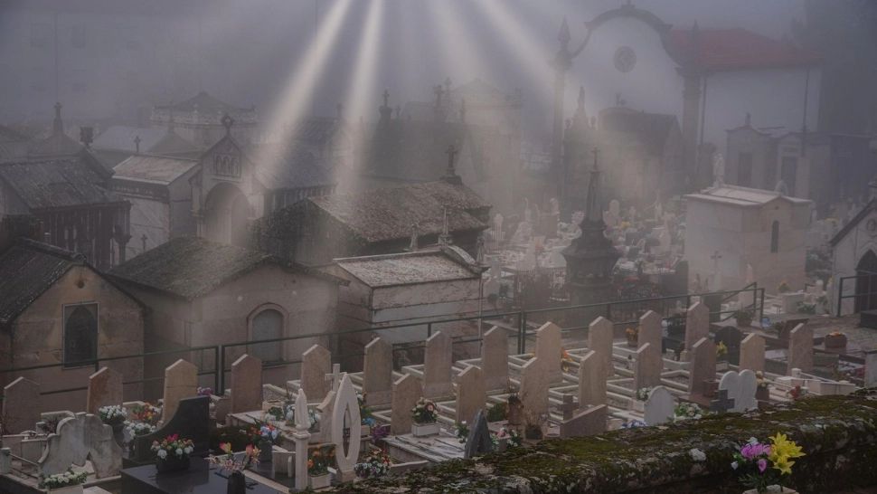 Copiii din alte lumi, fenomene bizare sau simple exagerări