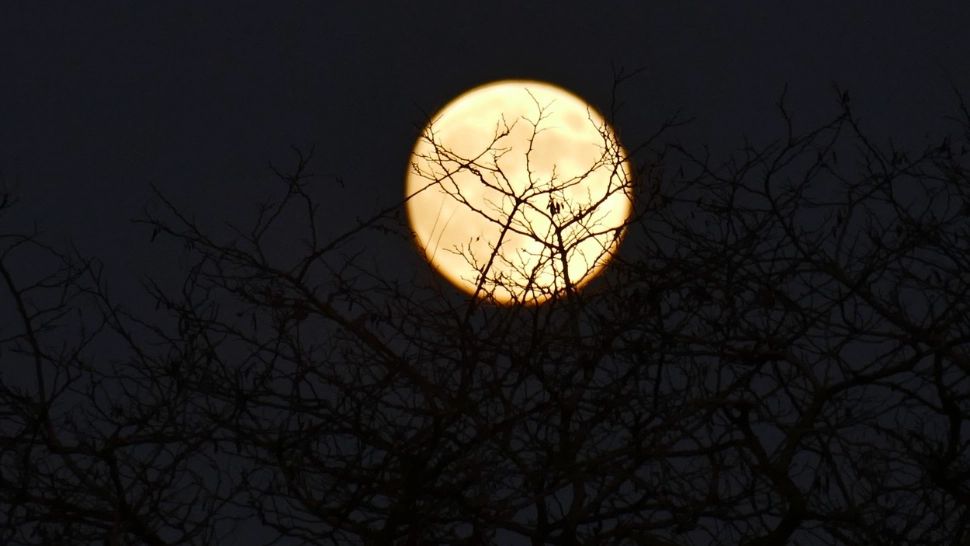 "Luna Rece" și eclipsă de Marte, fenomen astronomic rar, în noaptea de miercuri spre joi