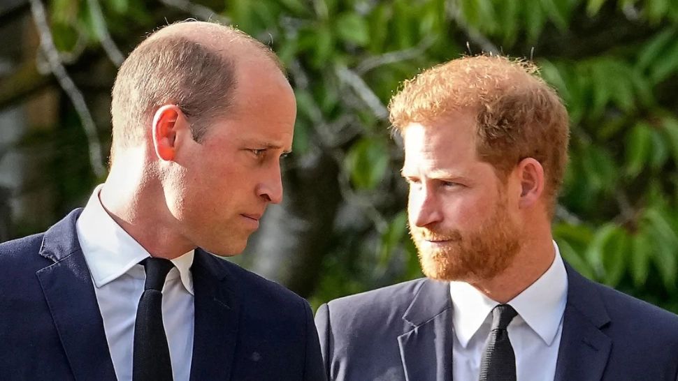 Prinţul Harry și Prinţul William